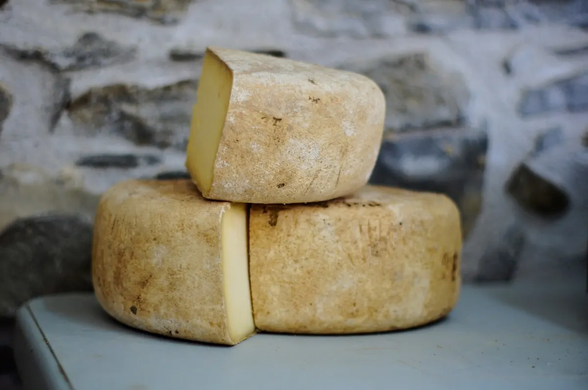 Block of cheddar cheese