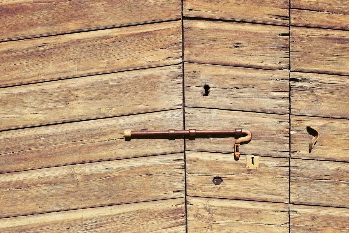 Dark brown wooden flush interior door